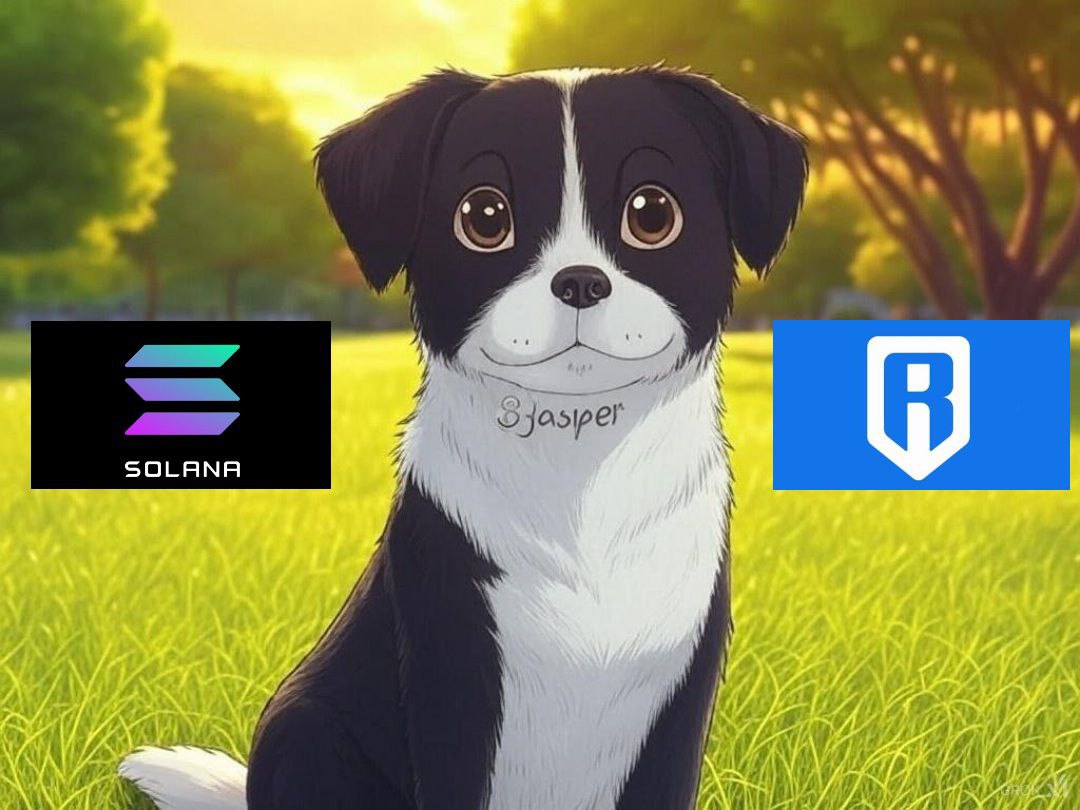 Would <a href="/Ronin_Network/">Ronin</a> suit me? 🤓