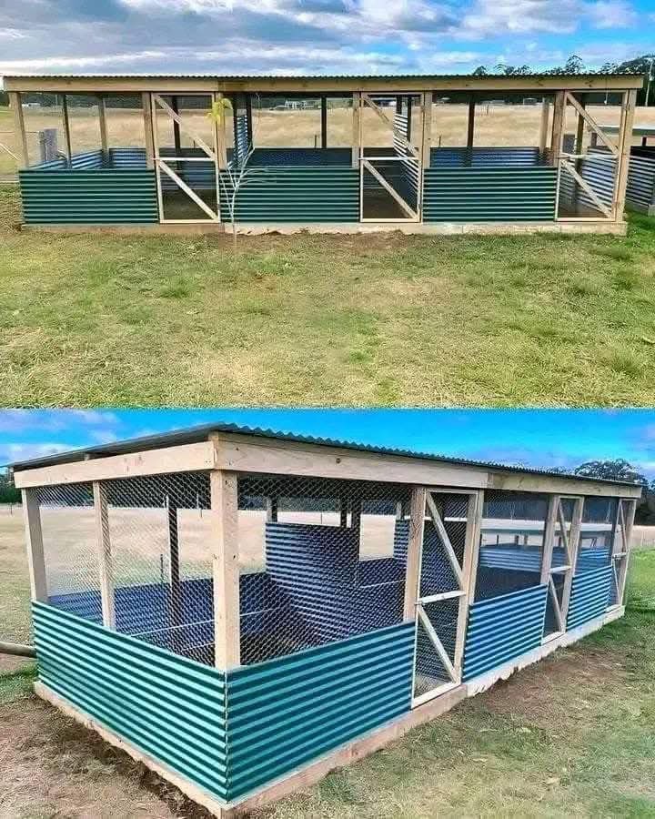 klogoselorm's tweet photo. Nkukor Nketiketi structure for all households that can make space available @johndumelo @JDMahama @OfficialNDCGh https://t.co/WTwwW1lkuq