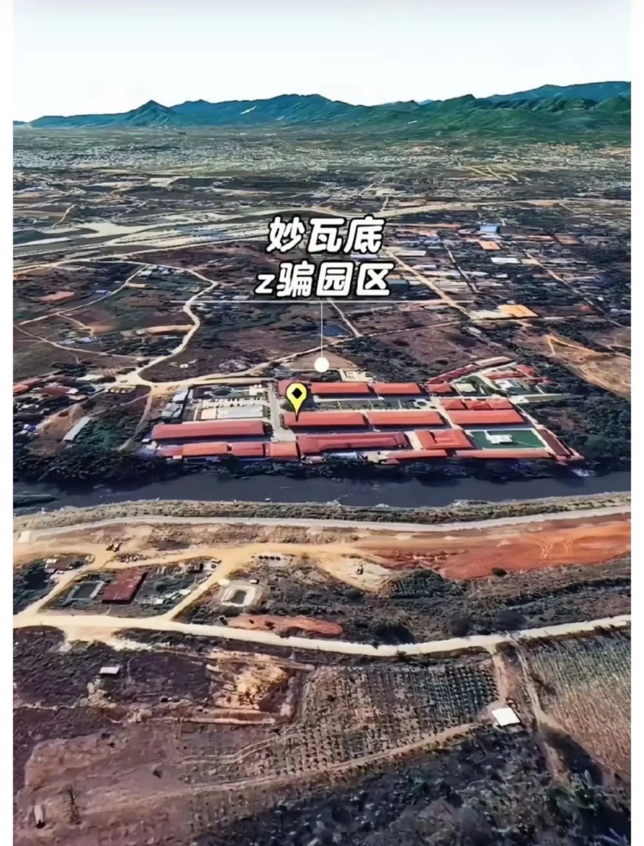 东南亚爆料人 tweet media