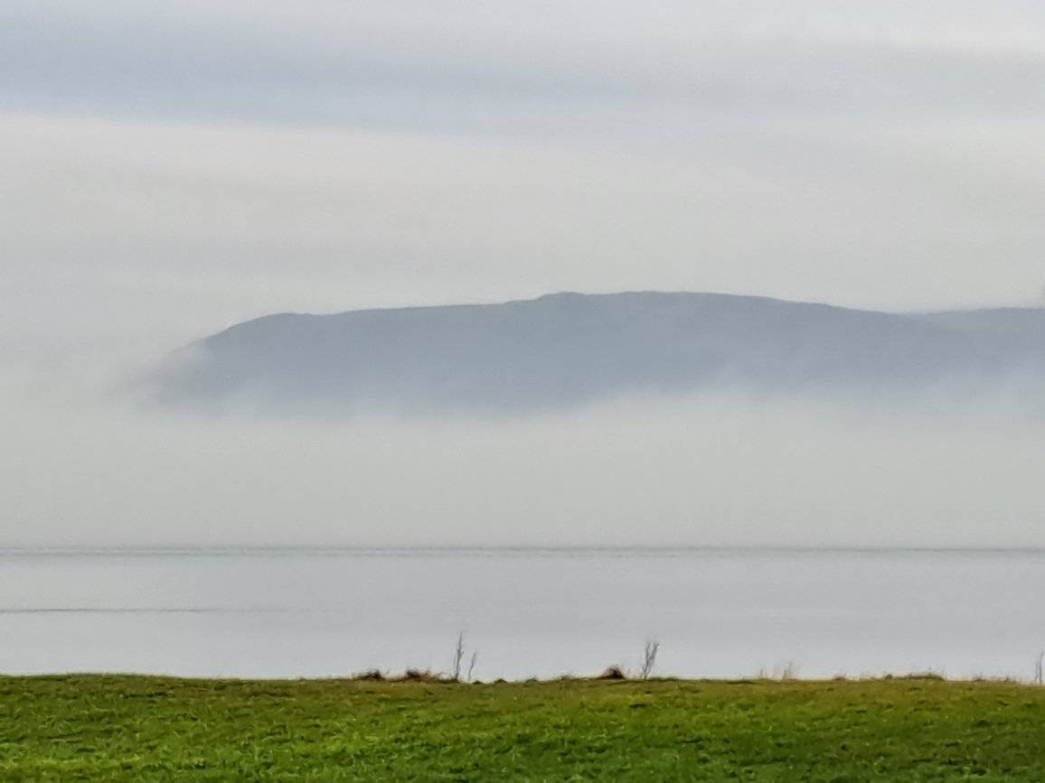 Karen Douglas tweet media