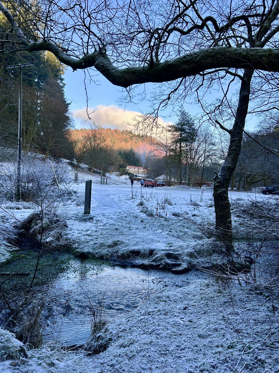 CarlyHiggins89's tweet photo. Winter walks in #dalbyforest #northyorkshire https://t.co/0UbSyAXmrp