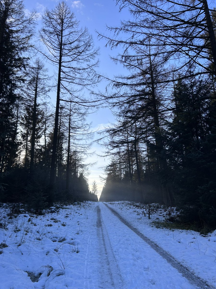 CarlyHiggins89's tweet photo. Winter walks in #dalbyforest #northyorkshire https://t.co/0UbSyAXmrp