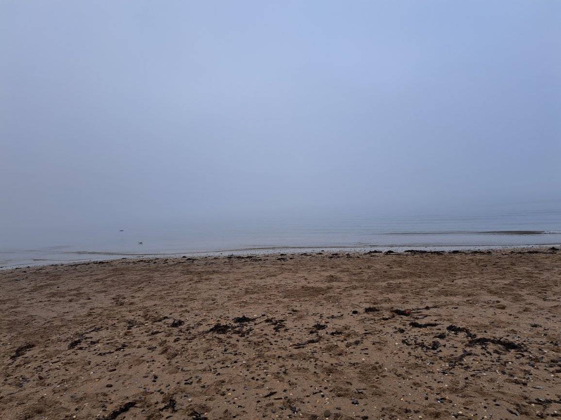 Karen Douglas tweet media