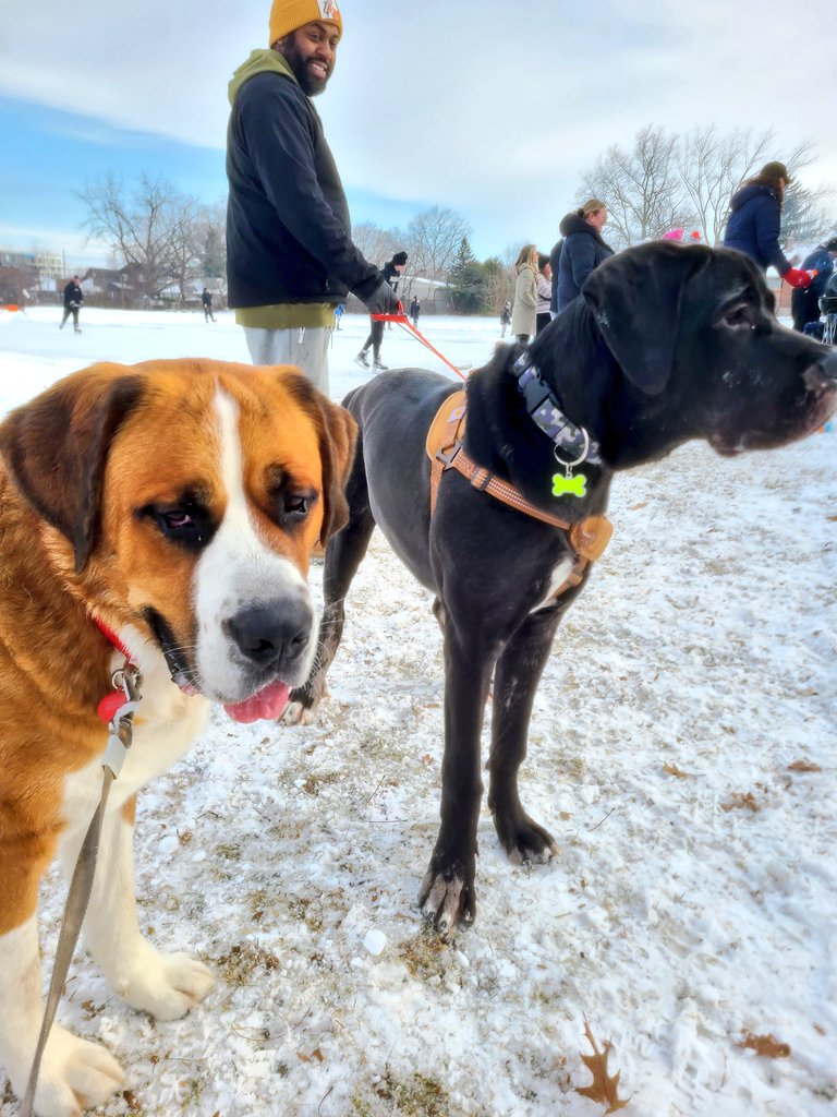 JohnPaulDanko's tweet photo. An amazing day at Bruce Park #Ward8Hamilton
So heart warming to see the entire community out to enjoy a true Canadian winter day! 🏒⛸️❄️🍔
Thank-you to the volunteers working countless hours in the cold and dark to make this possible! ❤️❤️❤️ https://t.co/8LvnXb9KPs