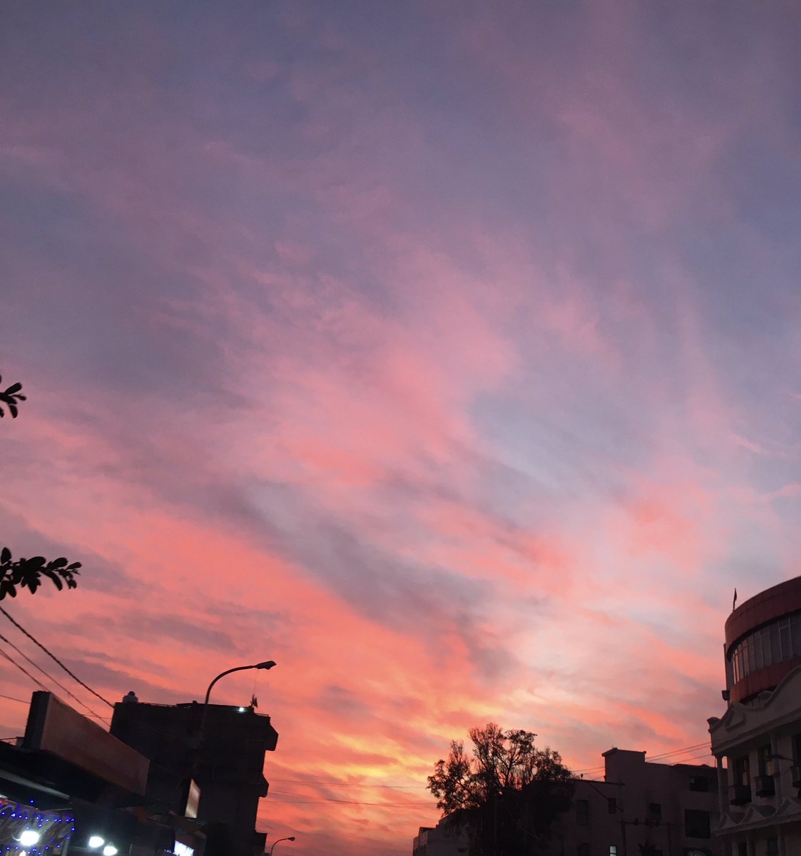 probablyHulk's tweet photo. @AmitabhJha3 Nature is true lob❤️ https://t.co/LOy69KRQNF