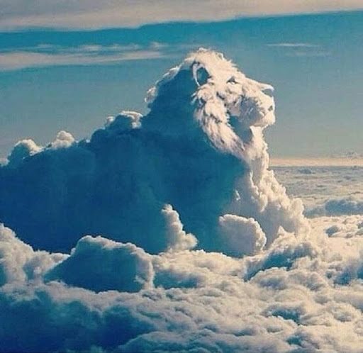 arsenique59's tweet photo. @cathbertrand5 https://t.co/DFxkQ82CfY