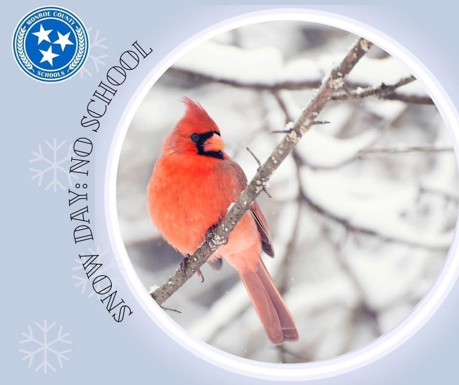 @MonroeCountySchoolsTN tweet media