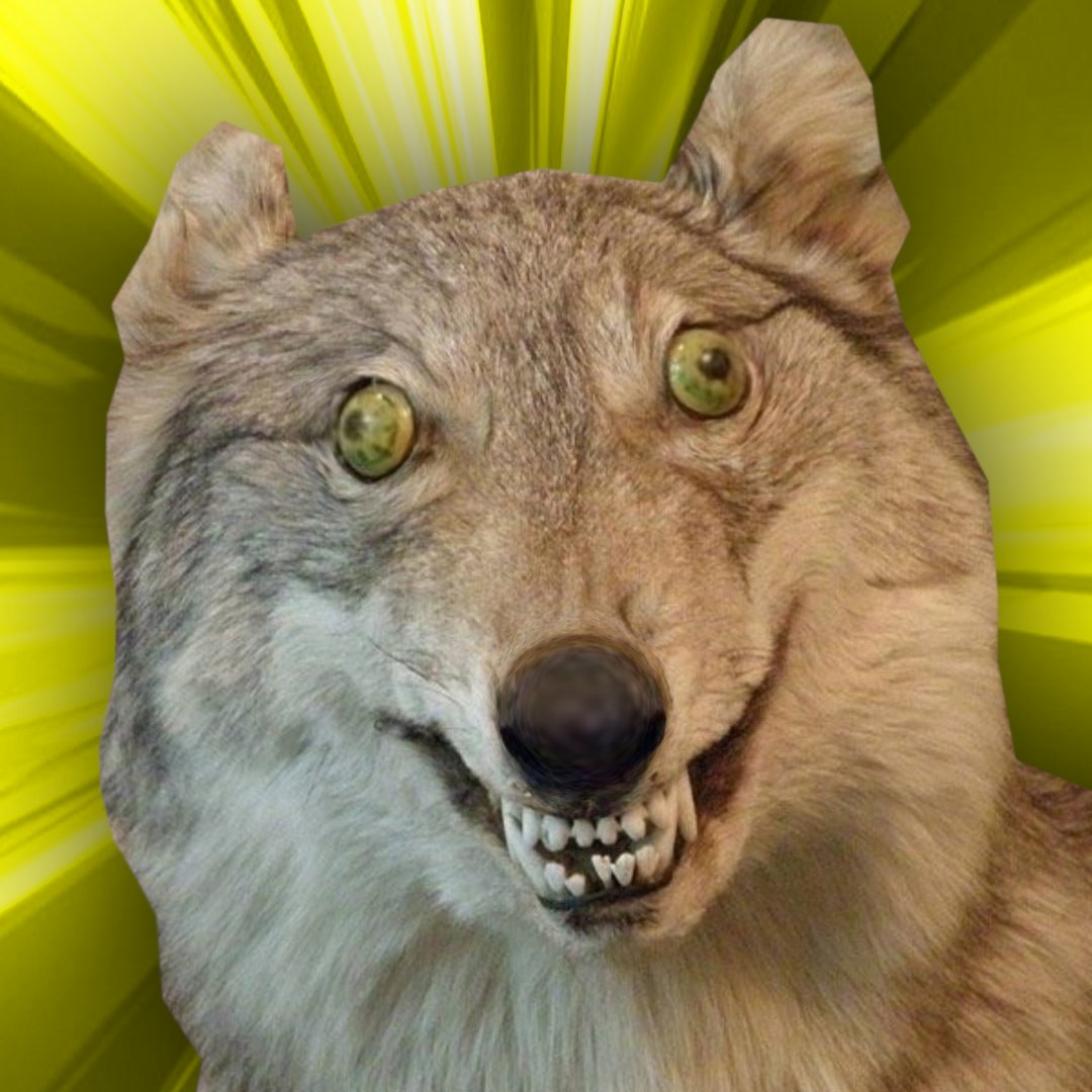 Uusi pelaaja liittyy joukkoihimme! ❄️✨ Tervetuloa, <a href="/SnowiVAL/">Snowi</a>  Olemme innoissamme siitä, mitä tulet tuomaan peliin. Valmistaudu huikeisiin seikkailuihin ja tiimityöhön! 🔥💪

Voitte nähdä meidät pelaamassa 14.1 🐺🐺

#SAVUPIZZA #SAVUJA #SAVUDontBeToxic
#SAVU