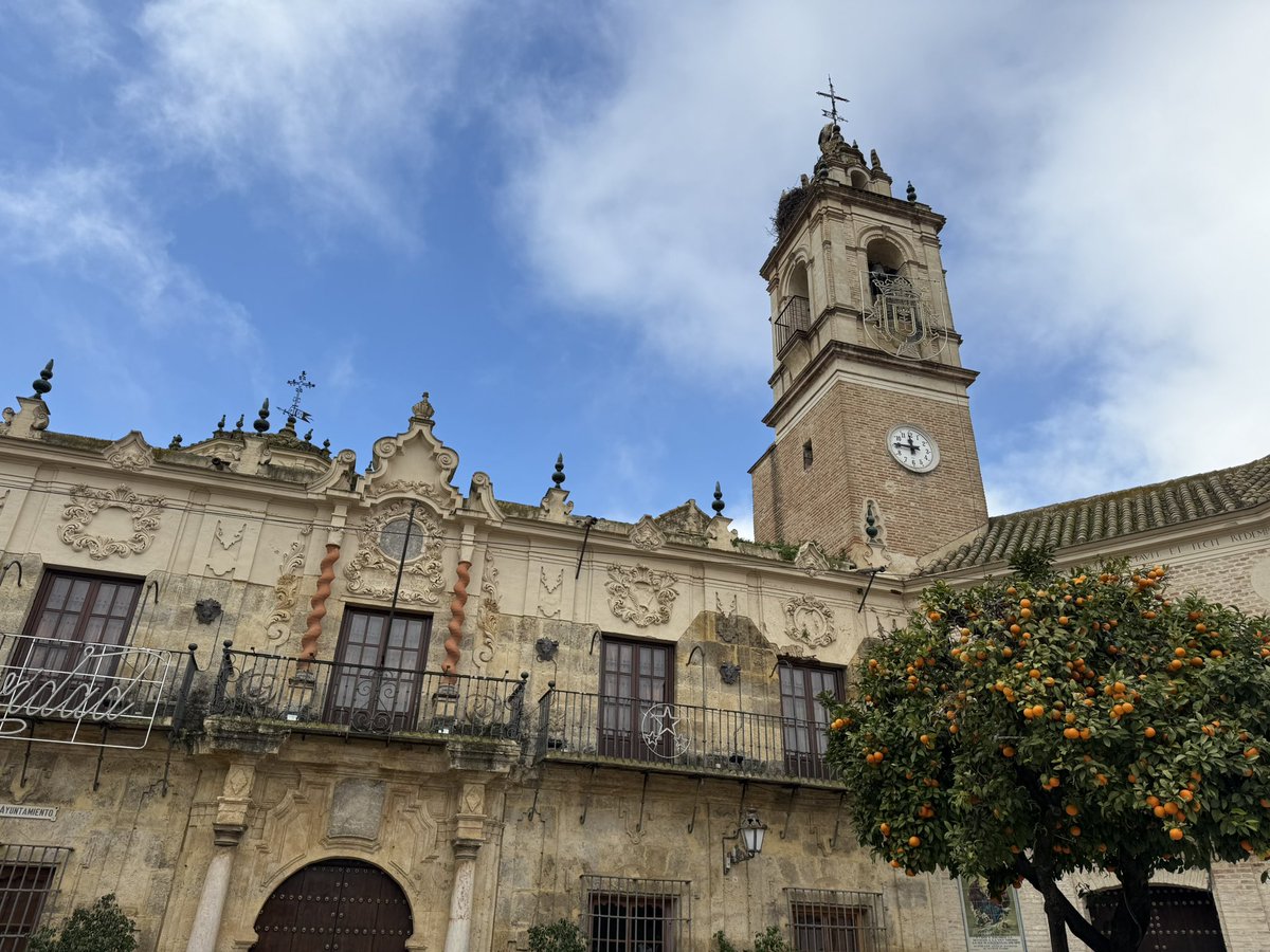 El viaje del mapache 🦝 tweet media