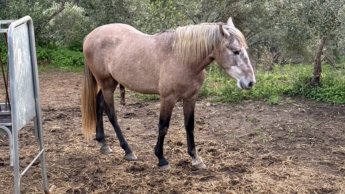🫒 ANDALUCÍA | Gracias a <a href="/HomeExchangeES/">HomeExchange ES</a> hemos disfrutado de un finde sostenible descubriendo #LoraDelRío, un bello pueblo a las puertas de Sierra Morena. ¡Y con la mejor compañía! ADORO.