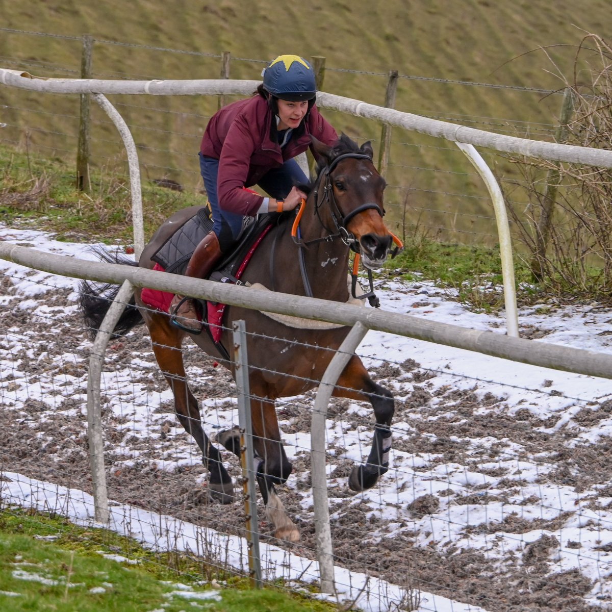 BarrowRacing's tweet photo. A great piece of work today by Ultimate Survivor. After winning his Maiden in Ireland last season, hie UK debut is not far away. Four 10% shares still available, please contact @BCoward93 or email c5wgs@aol.com for more information. https://t.co/PosKfyS5Ta