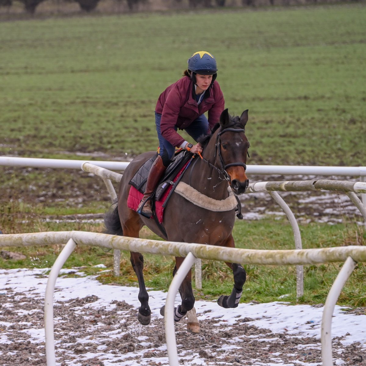 BarrowRacing's tweet photo. A great piece of work today by Ultimate Survivor. After winning his Maiden in Ireland last season, hie UK debut is not far away. Four 10% shares still available, please contact @BCoward93 or email c5wgs@aol.com for more information. https://t.co/PosKfyS5Ta