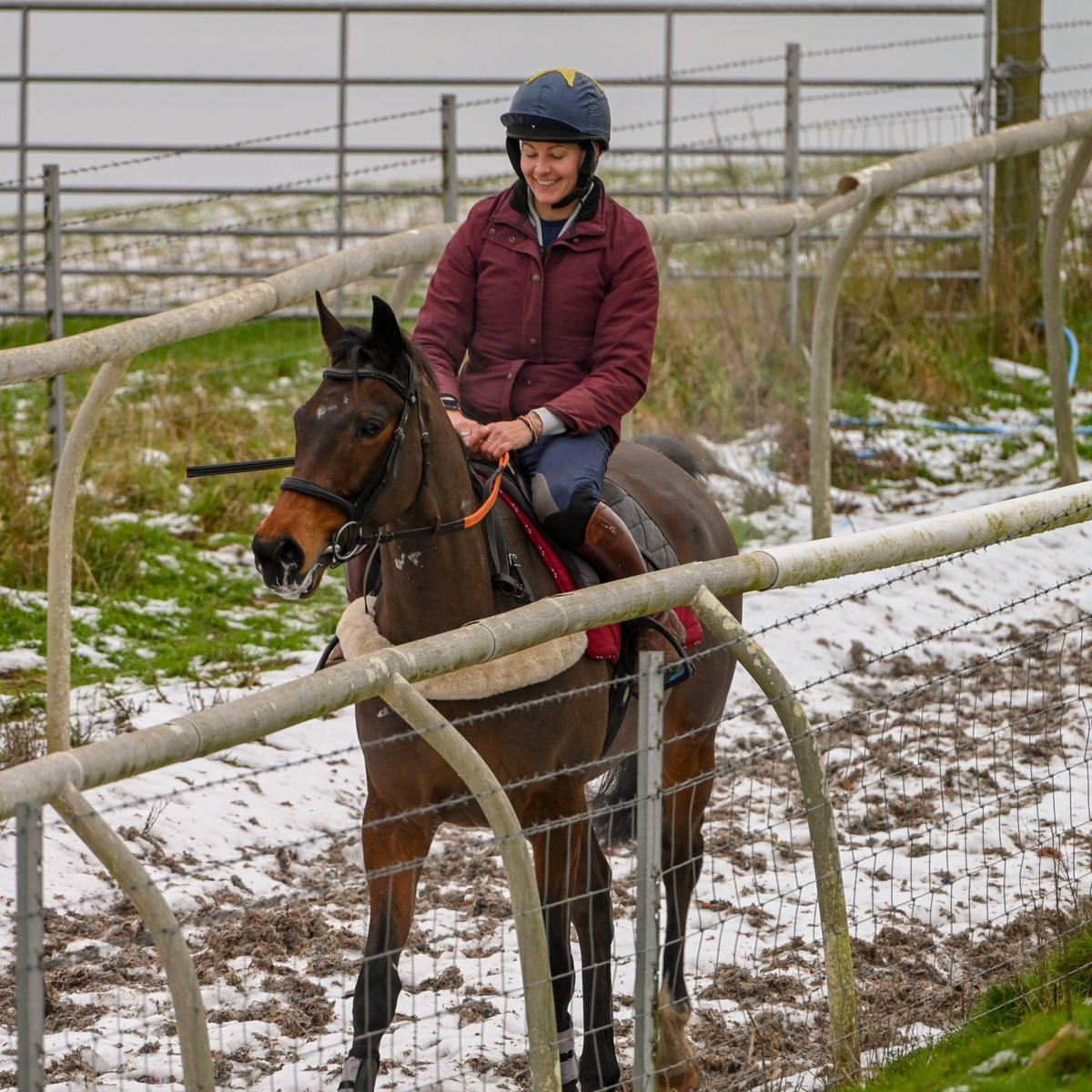 A great piece of work today by Ultimate Survivor. After winning his Maiden in Ireland last season, hie UK debut is not far away. Four 10% shares still available, please contact <a href="/BCoward93/">B Coward</a> or email c5wgs@aol.com for more information.