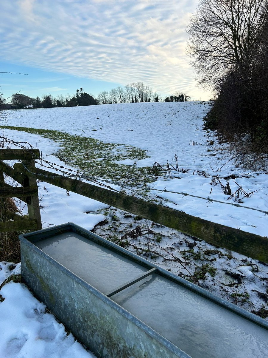 PetersClodagh's tweet photo. Day 11 &amp; 12 ✅ #100daysofwalking 
Yesterday had an indoor walk doing laps of the Trafford Centre while my daughter and her friends shopped 🙈
Around the still frozen fields today 🥶🥶 https://t.co/LiNs0IRvGb