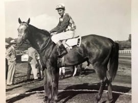 HORSERACING1002's tweet photo. NATIVE DANCER 🇺🇸1950
(POLYNESIAN - GEISHA BY DISCOVERY)
#NativeDancer
#GrayGhost
B/O Alfred G. Vanderbilt (Md)Mar 27, 1950.
T/ William C. "Bill" Winfrey.
22-21-1-0---785,240
1952 champion 🏆 2yo Colt and horse of the year.
1953 champion 🏆 3yo Colt.
1954 champion older horse and Horse of the year.
Hopeful S, Saratoga Special, Youthful S, Futurity S, East View S, Grand Union Hotel S, Flash S, Preakness S, Belmont S, Wood Memorial S, American Derby, Arlington Classic, Dwyer S, Gotham S, Travers S, Whithers S,
Metropolitan H, Oneonta H.
2nd Kentucky Derby.
ETR Belmont 6½f 1,14,⅖.
Stood Sagamore Farm.
Sired 306 foals, 212 ,44 sw. Sired Dancer's Image, Dan Cupid, Exclusive Dancer, Natalma, Native Charger, Raise a Native, Kauai King, Hula Dancer, etc.
Died Nov 16, 1967
