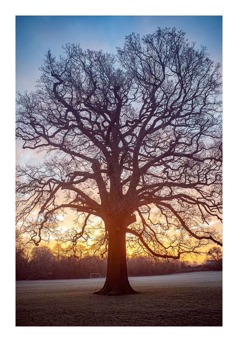Park sunrise this morning #Ricoh