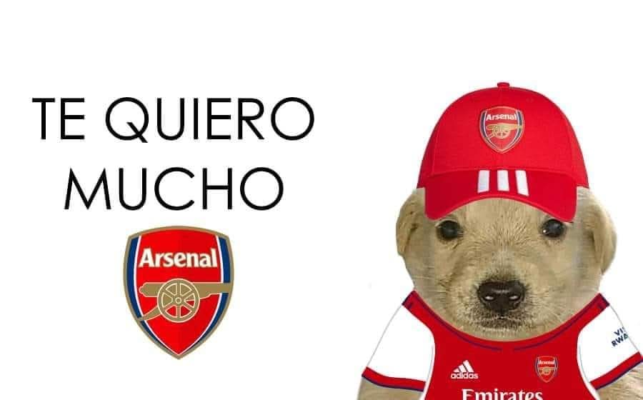 perro_chelsea's tweet photo. El día que nací mis padres sabían que iba a ser especial. "Tiene un cromosoma extra en el par 21, puede ser down" dijo el doctor.
Pero mi papá solo dijo: "Hoy el mundo recibe un Gunner más, bienvenido a casa Perro Arsenal" 😍
#TopGunner #COYG #Marianito #Artetas https://t.co/wczPWDod1M