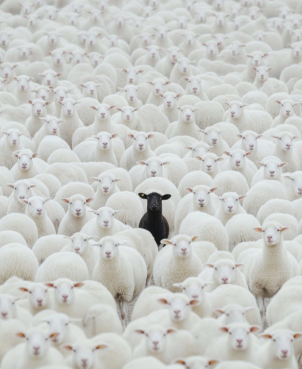 imgesel_1453's tweet image. Yorumu ?