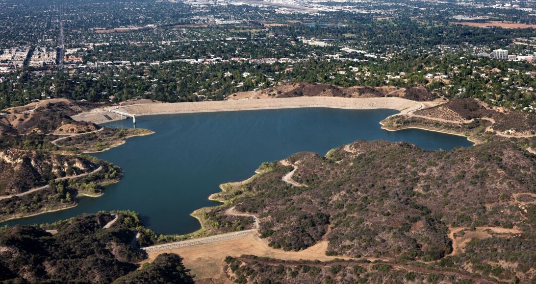 L.A. Dork tweet media