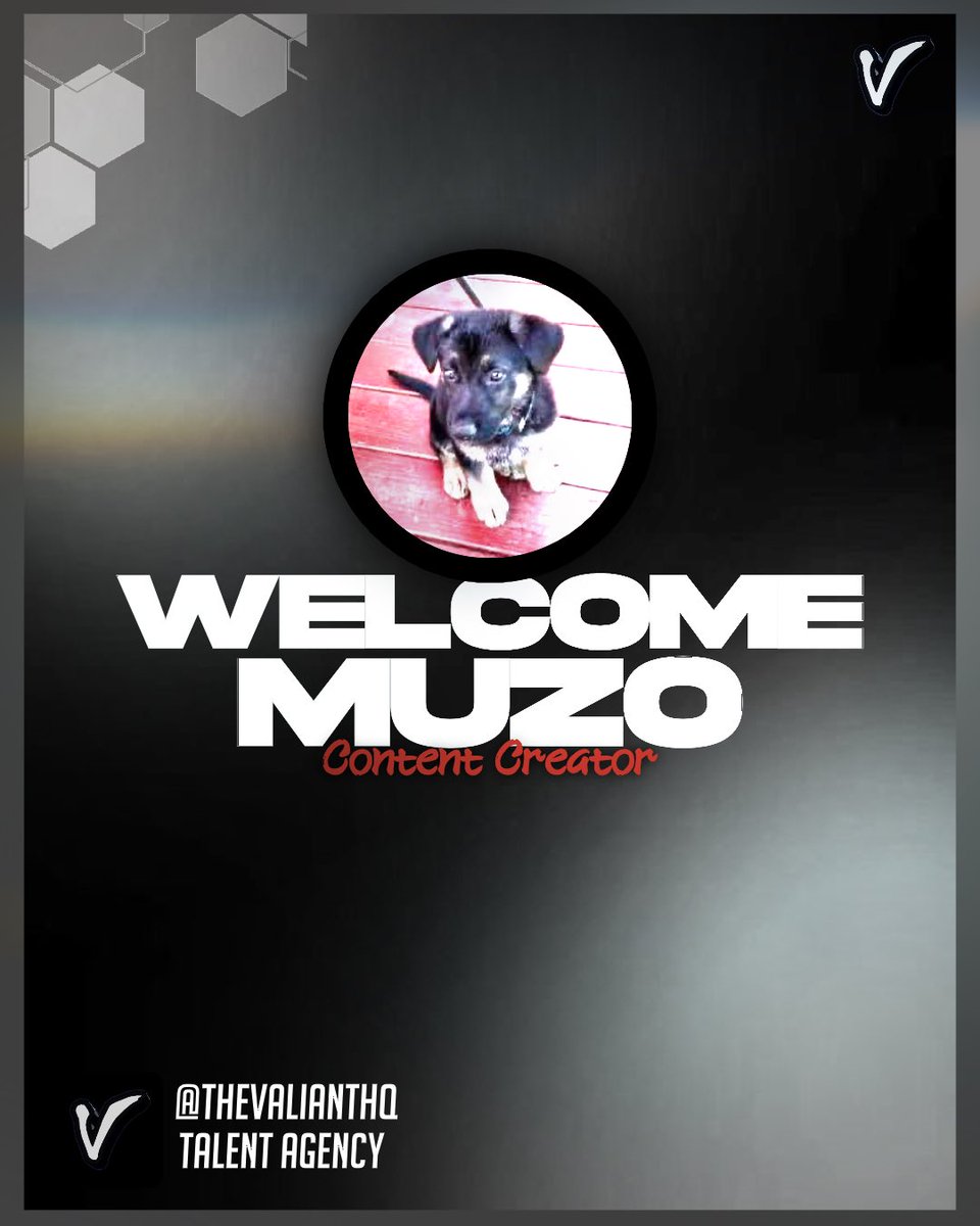 TheValiantHQ's tweet photo. 3 in a row! We’re super excited to reveal our new clients and Muzo is one of them. He’s aspiring and talented and we will be working hard with him!

Thank you for trust in us @muzofishy! 🤝 https://t.co/fgHGdwuWFN