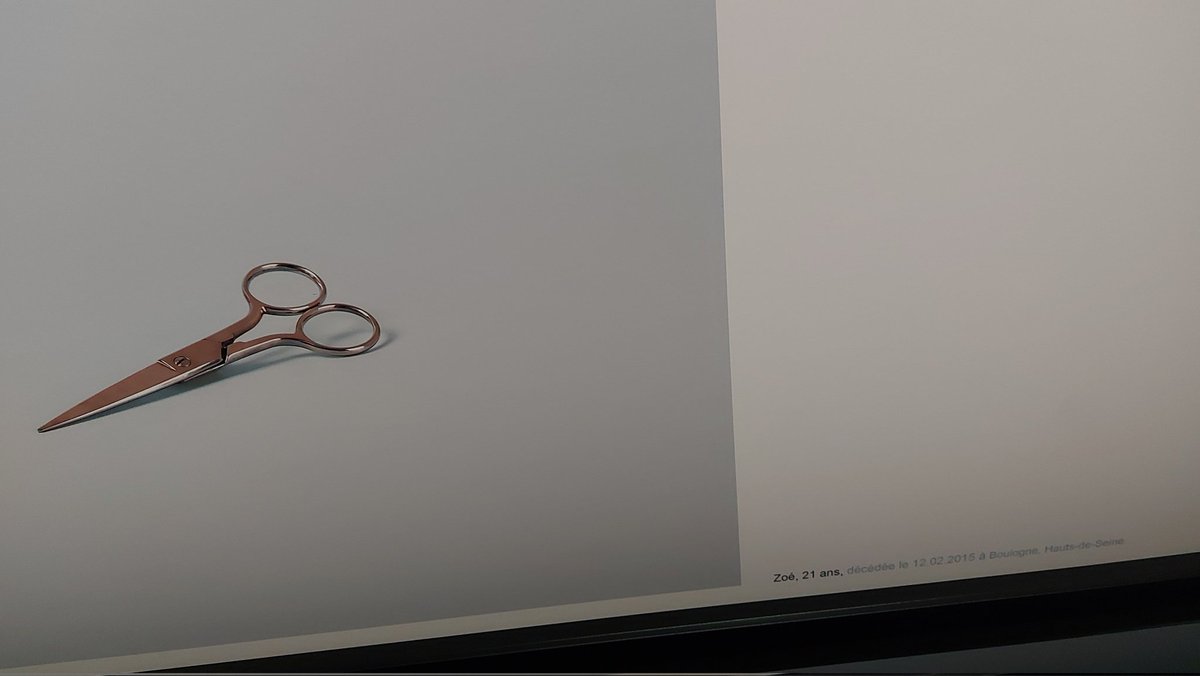 Féminicides: exemples tirés de l'œuvre de Camille Gharbi "Preuves d'amour" avec les photos des armes qui ont servi à tuer des femmes cette année là et leurs noms à côté.