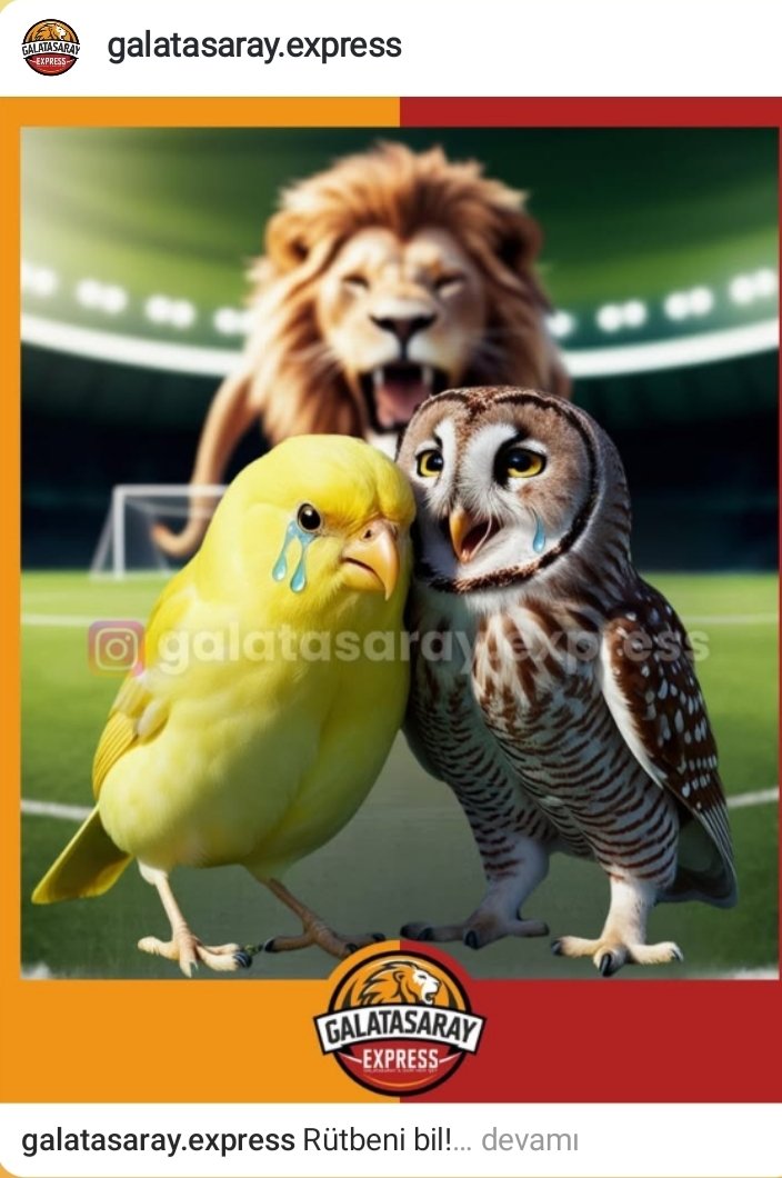#İBFKvGS #BugunGunlerdenGalatasaray 💛❤💛❤💛❤