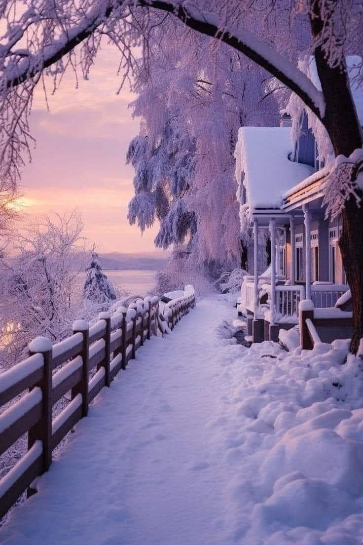 Victor (@qwry8334958) on Twitter photo The air is filled with freshness, and each breath brings light coolness mixed with the mysterious aromas of winter. βοΈβοΈβοΈ The air is filled with freshness, and each breath brings light coolness mixed with the mysterious aromas of winter. βοΈβοΈβοΈ