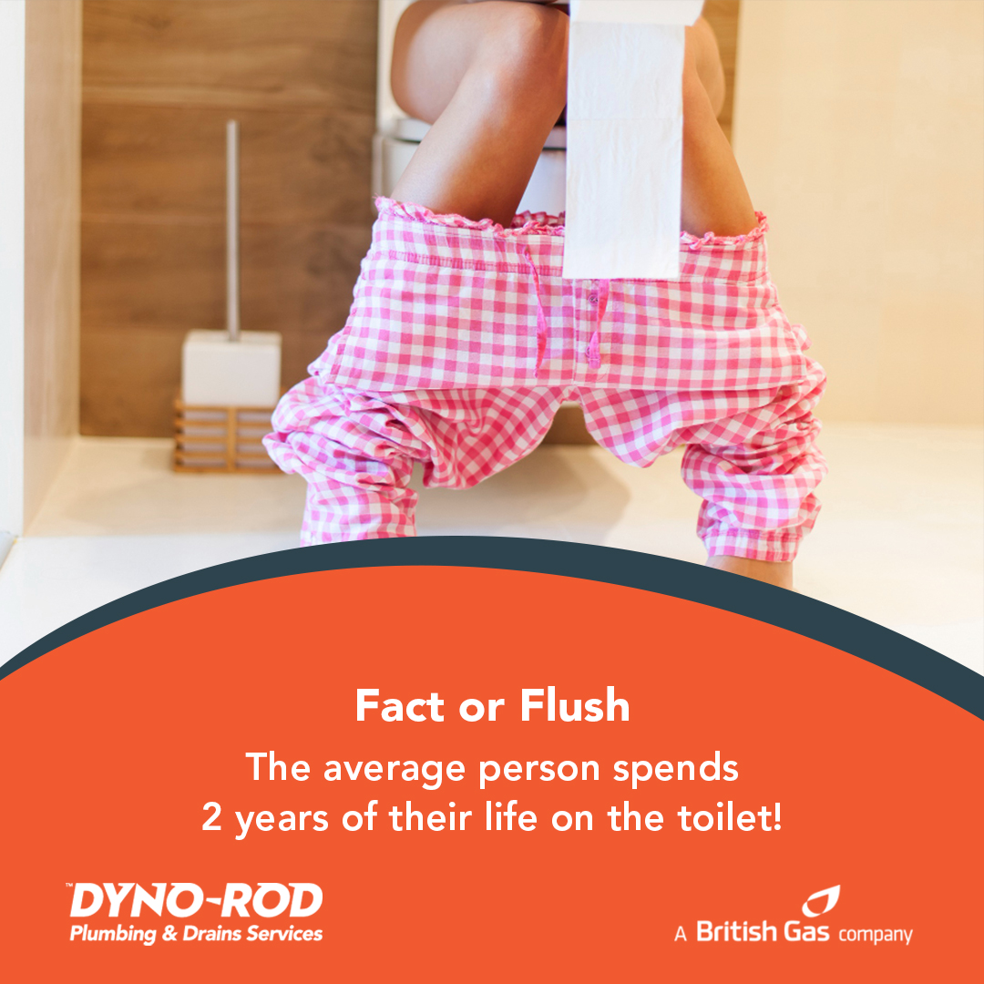 dynoeastanglia's tweet image. Flush!

The actual average time spent on the toilet is 3 years!

#ToiletTime #FactOrFlush #DynoRod