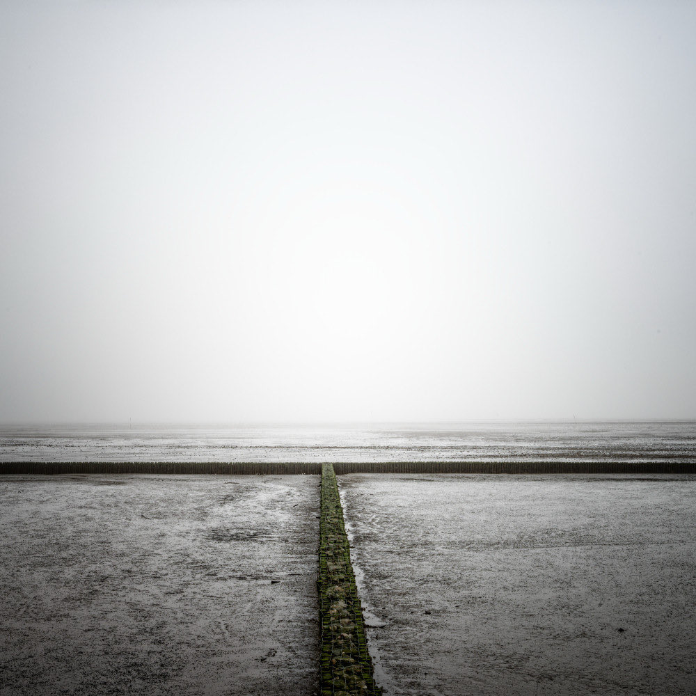 st_ulbrich's tweet photo. World Heritage Waddensea https://t.co/ExXGkBKG26