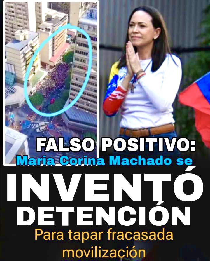 IGNACIO RAMONET tweet media