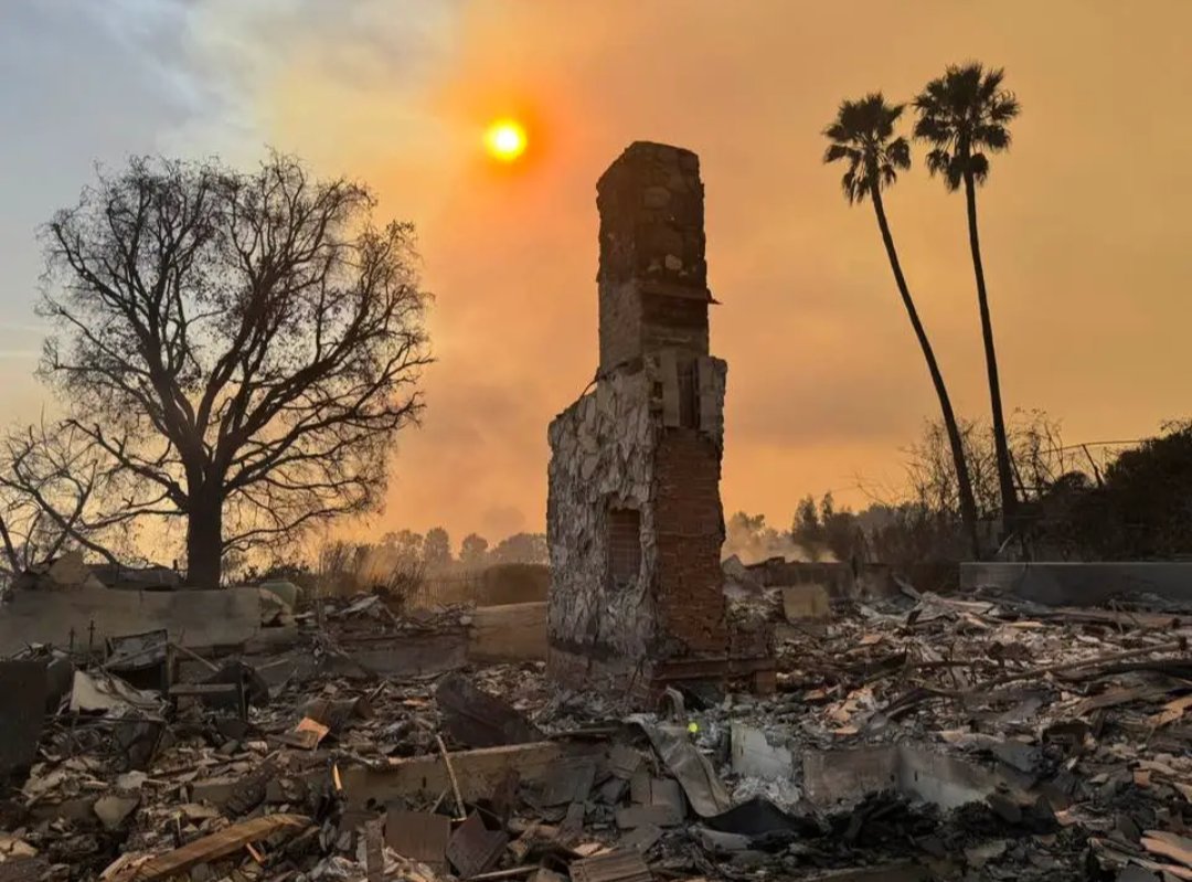 My take on the Palisades fires, and the leadership of California and the city of Los Angeles.

I call it Venal Incompetence. Deliberate actions hidden behind the fig leaf of incompetence for plausible denialability purposes. 

These civilizational sabotage activities are the
