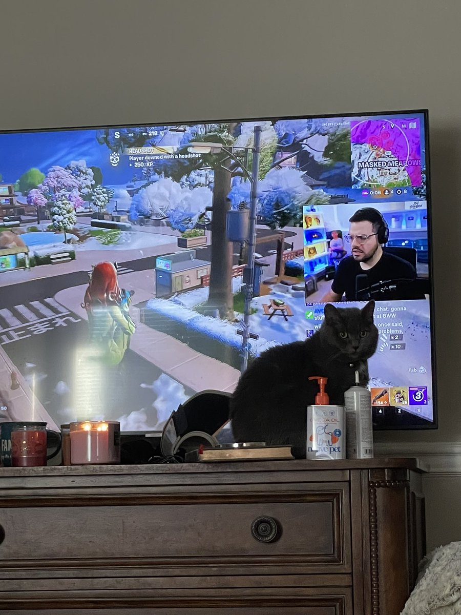 liver522's tweet photo. Gladys loves watching @CouRageJD and trying to help him win! #gamerkitty https://t.co/GwuhhqRu16