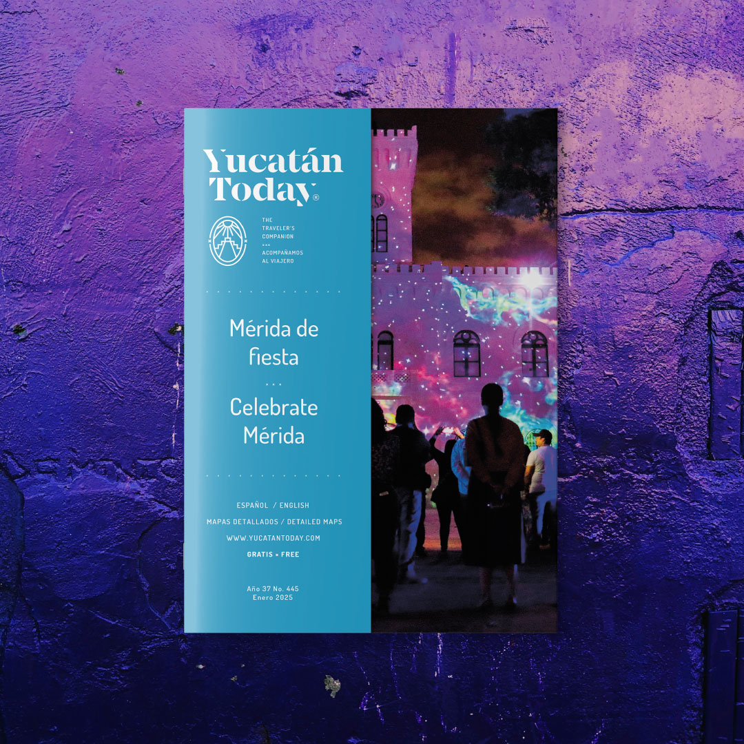 Yucatán Today tweet media