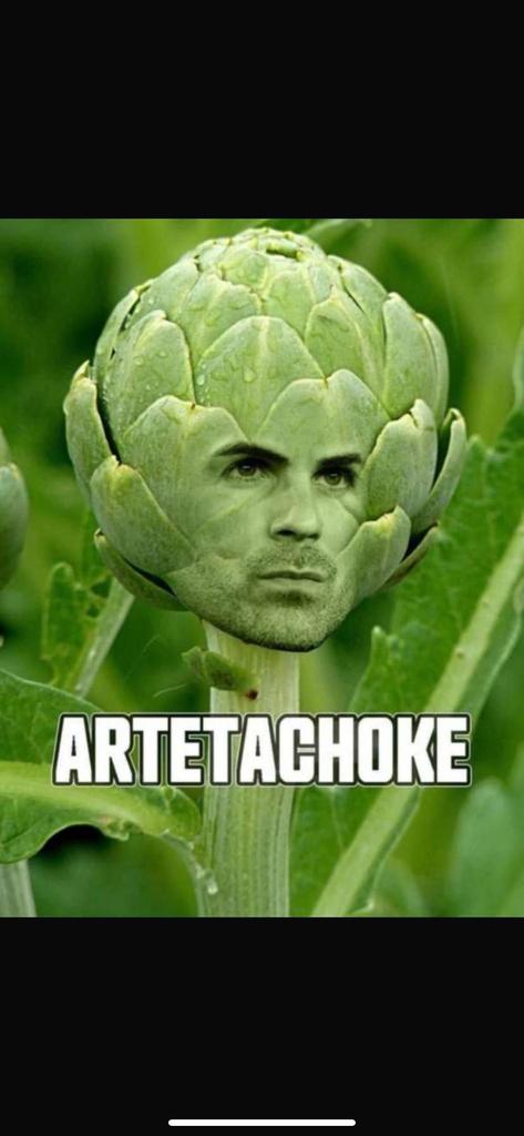 UTD_Anna_'s tweet image. 👀