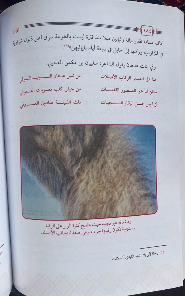 حوت الشمال tweet media