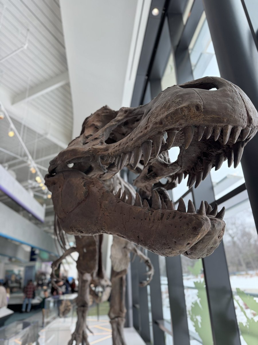 Michael Collier tweet media