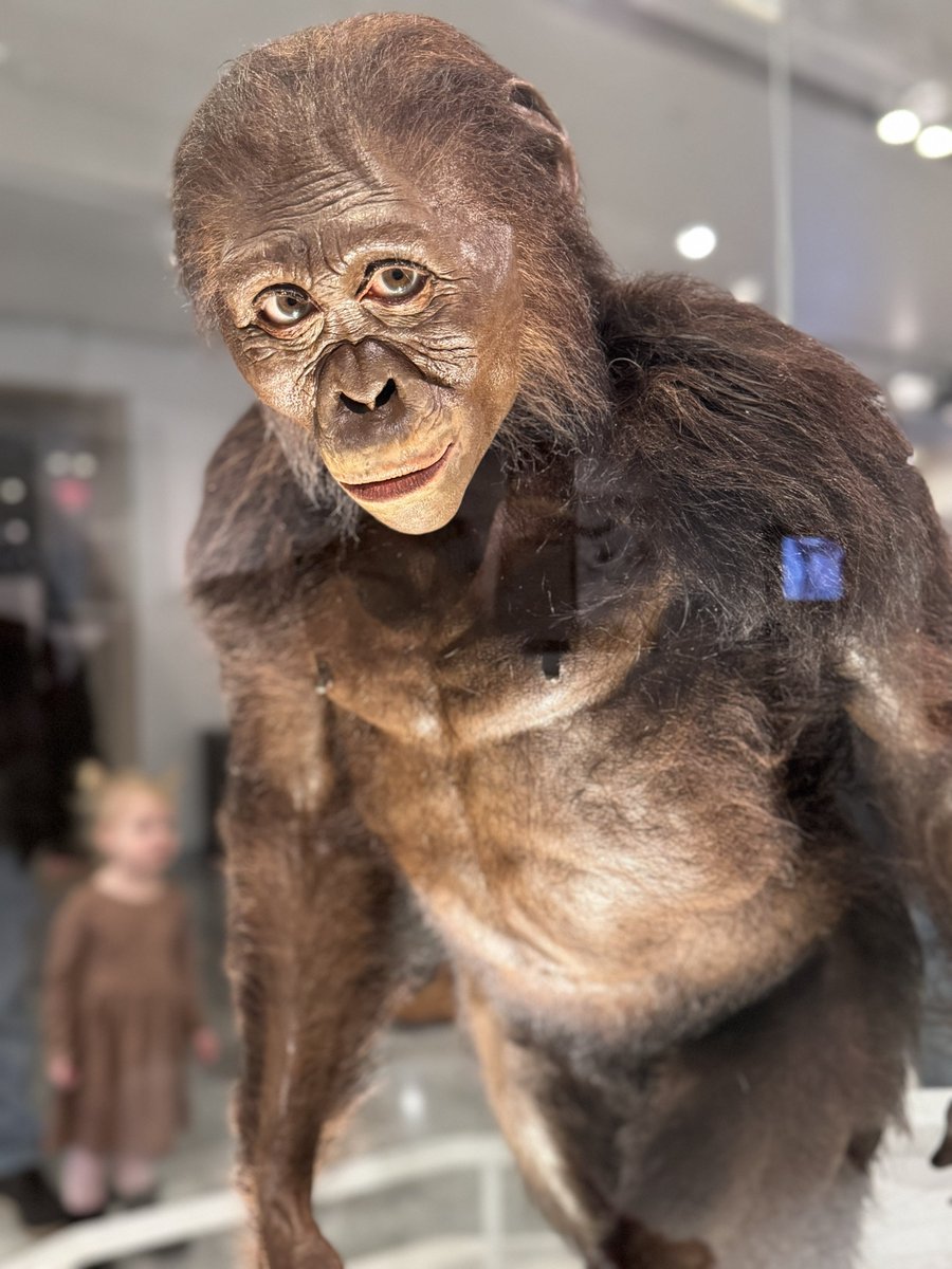 Michael Collier tweet media