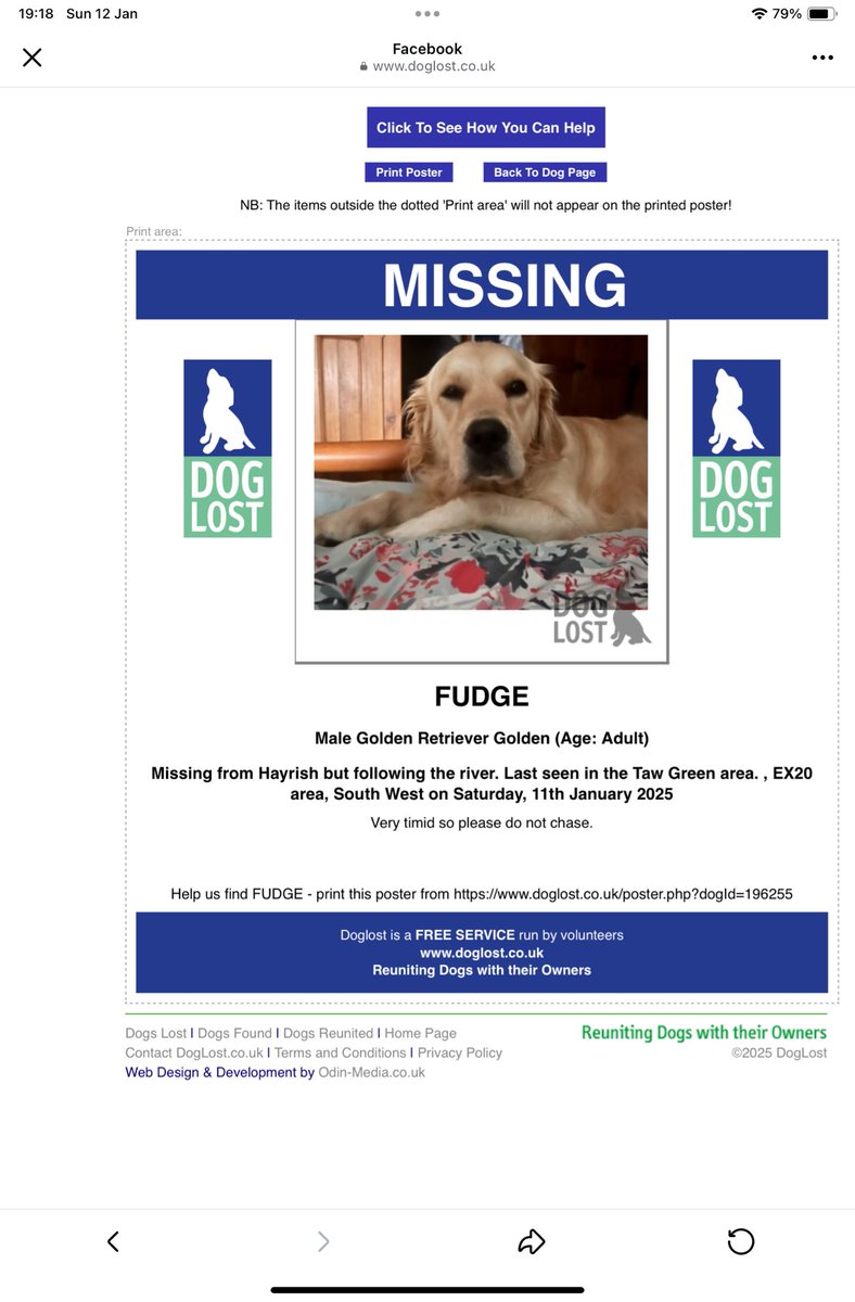 clares14764190's tweet photo. Please share
MISSING ▪︎ FUDGE.
#tagged/#microchipped GOLDEN ADULT MALE GOLDEN RETRIEVER.
#Lost: 11/01/2025.
Where: #Hayrish following the #river - last seen in the #TawGreen area #Devon #southwest #EX20.
Very timid - so please do not chase.
https://t.co/mqJM9nCHgi
https://t.co/k5bWyuSYu9?