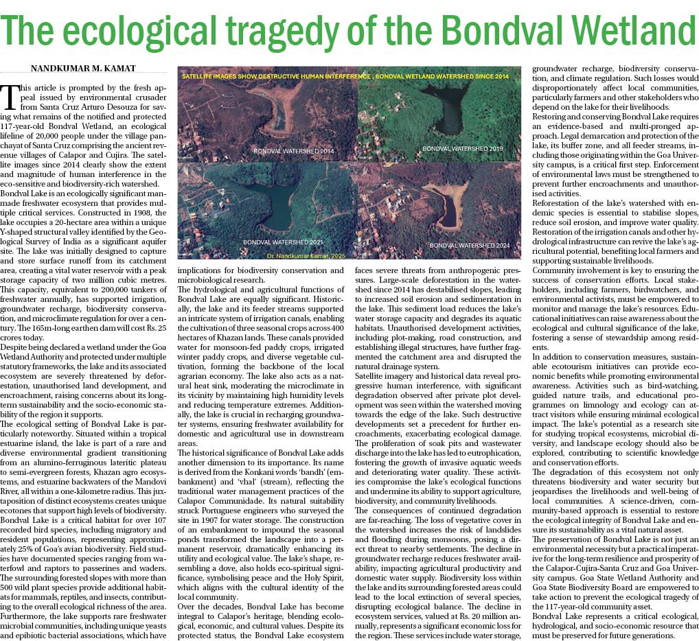 vriksh_org's tweet photo. Deforestation and human interference are damaging the Bondwal Wetland Watershed in Goa. This 100+ years ecological resource aids biodiversity and climate regulation. Eminent scientist Nandkumar M. Kamat appeals to policymakers and local community to save it for future generations https://t.co/f27qKgqPBy