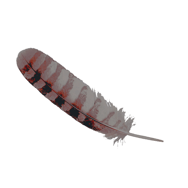 ‍ ‍ ‍ 𝖊𝖒𝖕𝖙𝖞 ‍ ‍ ╱ ‍ ‍𝐇𝐔𝐒͟𝐊͟ ͟ ͟.͟ tweet media