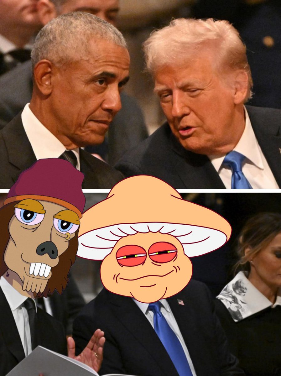 FunguyonETH's tweet photo. The real MVP’s - #FLEABONE 🦴 and #FUNGUY 🐸🍄 Making politics fun again!   #DREAMTEAM #DOBLEFRIED https://t.co/HPfPrvfXV8