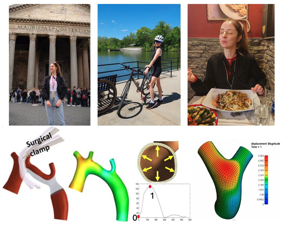 JolleyLab's tweet image. The Jolley Lab is excited to welcome Research Scientist Seda Aslan who just completed her PhD at
@HopkinsEngineer focused on developing multi-physics models of vascular grafts in CHD. Welcome to the team! @HeartCare4Kids @MEAM_Penn @pennbioeng