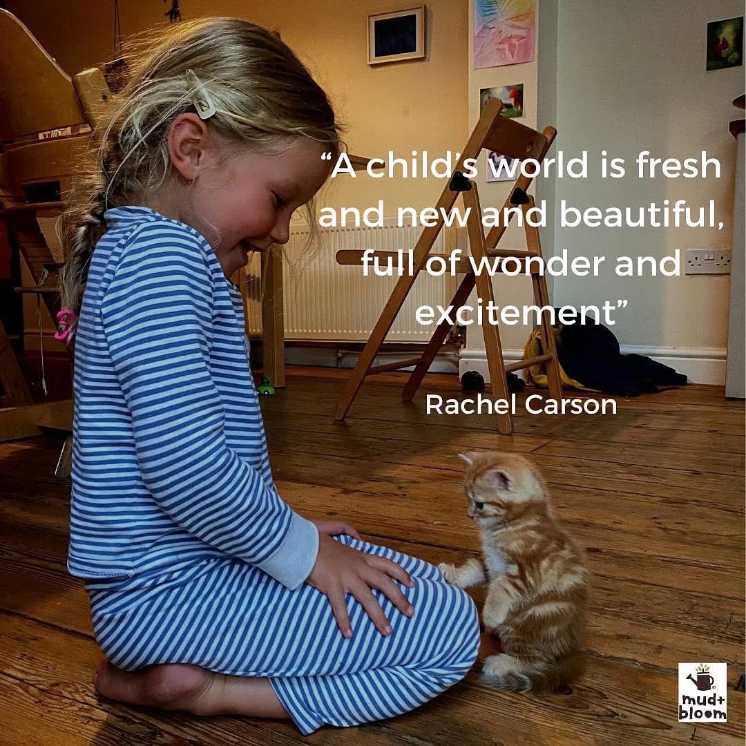 MudandBloom's tweet photo. “A child’s world is fresh and new and beautiful, full of wonder and excitement”.
Rachel Carson

#rachelcarson #rachelcarsonquotes #earlylearning #childhood #parenting #aweandwonder #mudandbloom https://t.co/2PtEDsxNCU