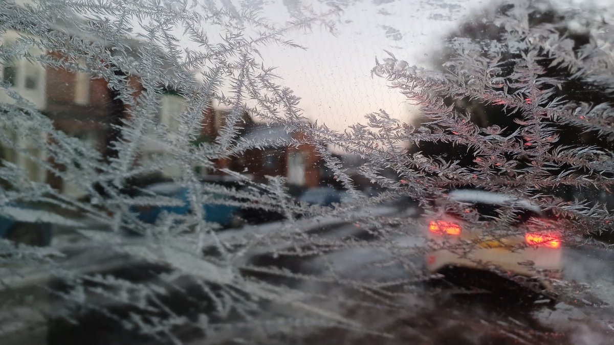 Friends of Parkwood Springs tweet media