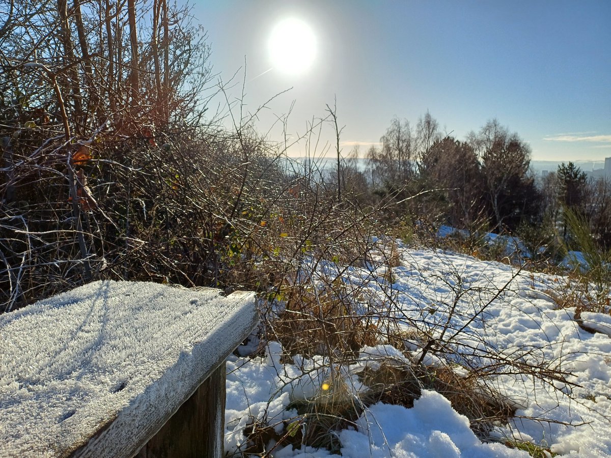 Friends of Parkwood Springs tweet media