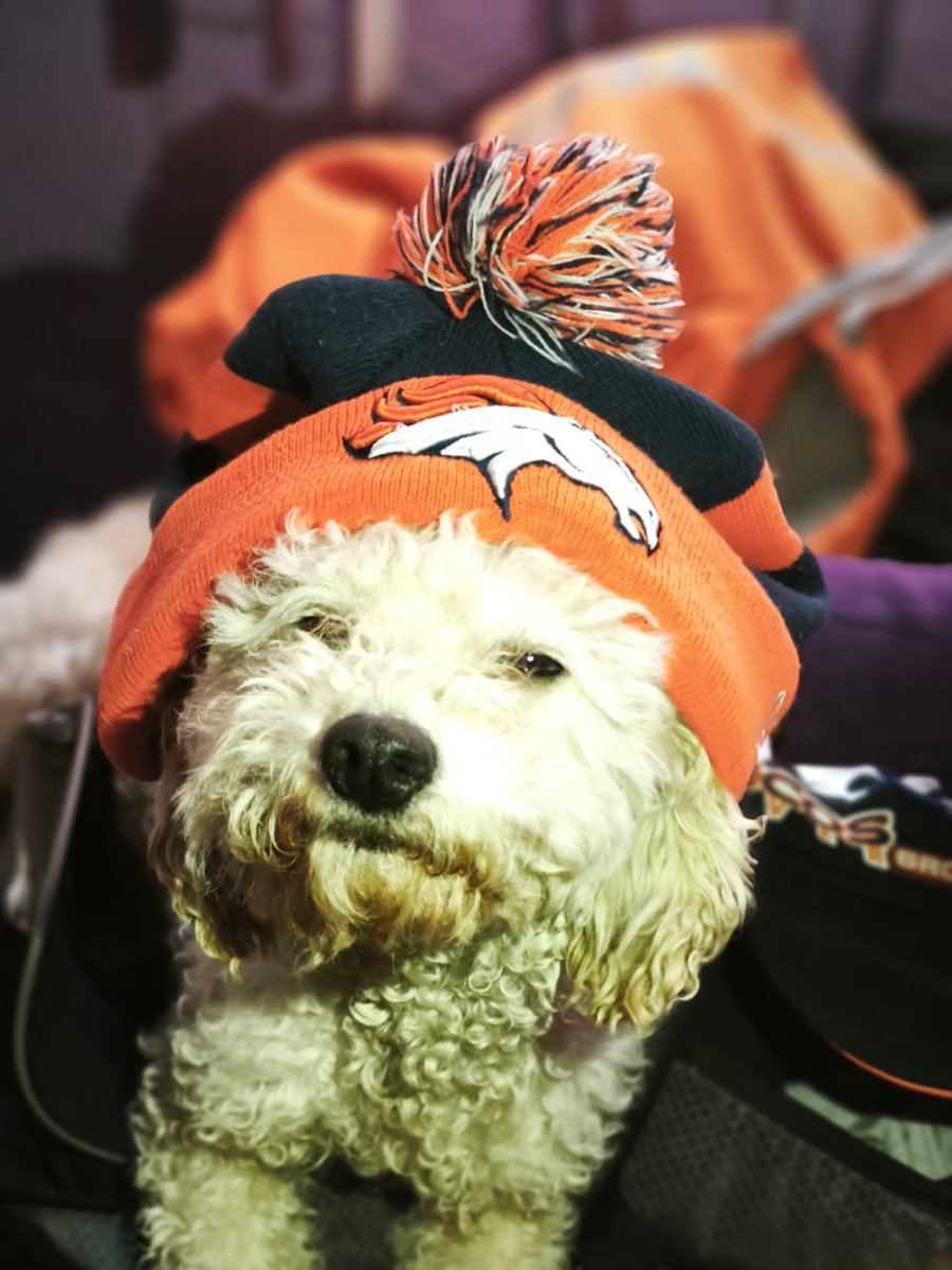 DemEspinosa (@espinosadem) on Twitter photo #NFLEnTelevisa 🐴 #NFLEnTelevisa 🐴