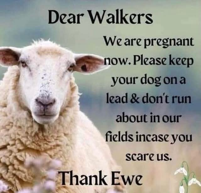 ApsoMollie1's tweet image. 🚨👇👇👇👇👇🚨
THIS!!!