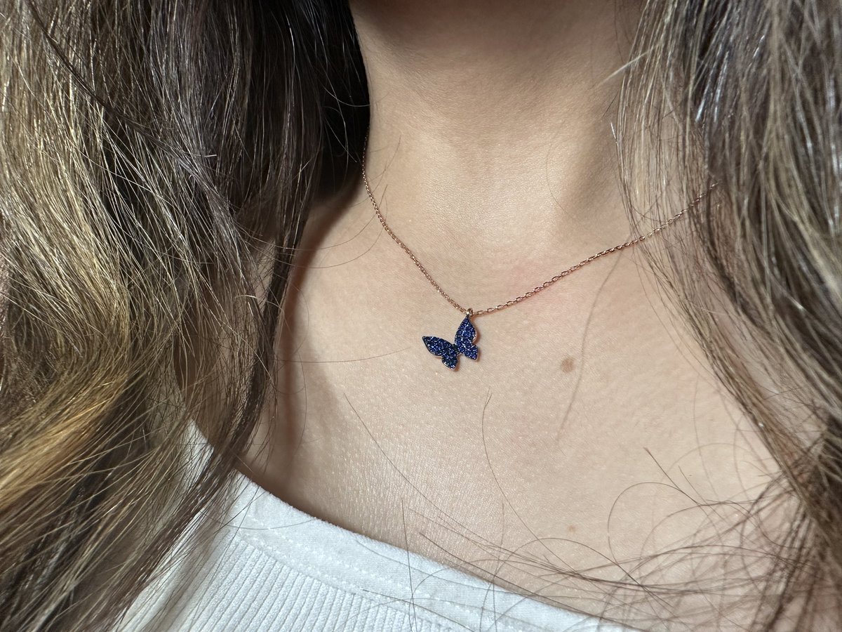 guvalksa's tweet photo. 🦋 https://t.co/sxN34uWSTf