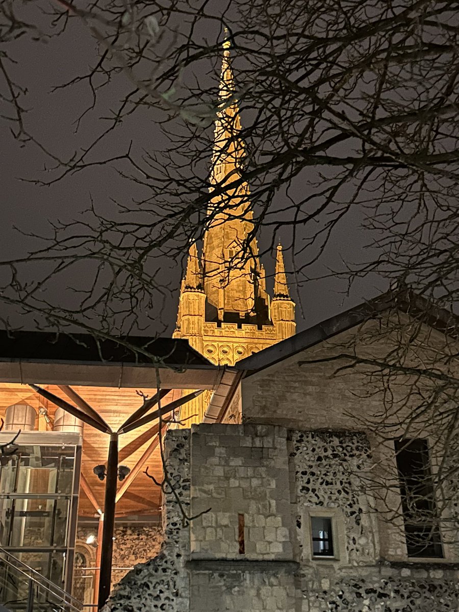 helly_hooks's tweet photo. Lovely afternoon at Norwich Cathedral plough Sunday with lovely company and supporting @yanafarming as an ambassador,blessing of those that work in agriculture and working in rural areas,Such a beautiful building. #RuralMentalHealth #StrongerTogether #YouAreNotAlone https://t.co/3YrsA2nUZo