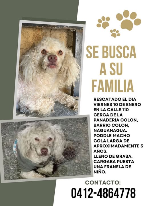 A64029345's tweet photo. DIFUNDO https://t.co/CLWklhDc4B
